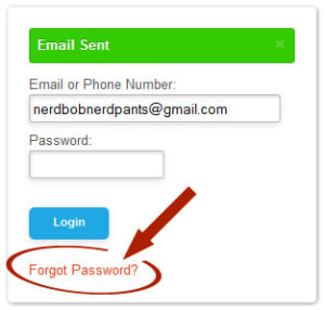 email-sent-forgot-password